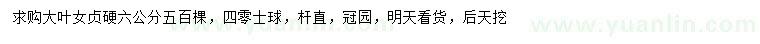 求購(gòu)6公分大葉女貞