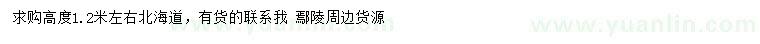 求購高1.2米左右北海道黃楊