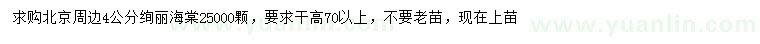 求購4公分絢麗海棠