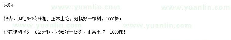 求購(gòu)胸徑5-6公分銀杏、香花槐