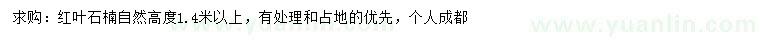 求購高1.4米以上紅葉石楠