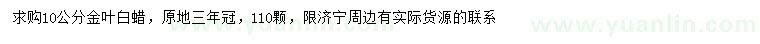 求購10公分金葉白蠟