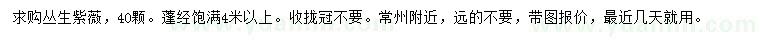 求購(gòu)冠幅4米以上叢生紫薇