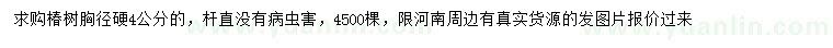 求購(gòu)胸徑4公分椿樹(shù)
