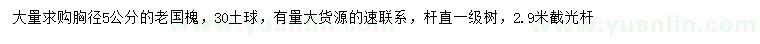 求購胸徑5公分老國槐