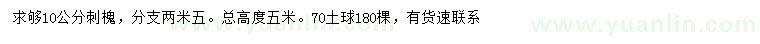 求購10公分刺槐