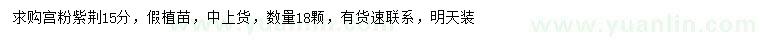 求購15公分宮粉紫荊