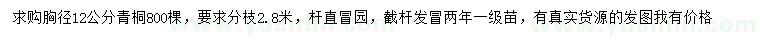 求購胸徑12公分青桐