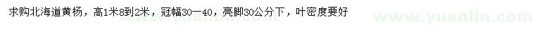 求購高1.8-2米北海道黃楊
