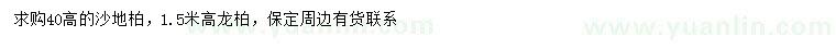求購(gòu)高40公分沙地柏、高1.5米龍柏
