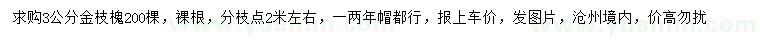 求購3公分金枝槐