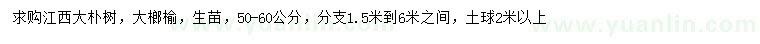 求購50-60公分樸樹(shù)、榔榆