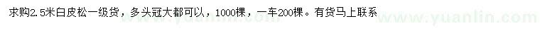 求購(gòu)2.5米白皮松