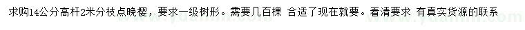 求購(gòu)14公分晚櫻