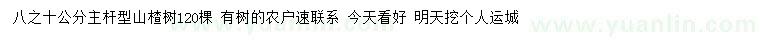 求購(gòu)8-10公分山楂
