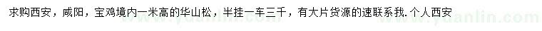 求購高1米華山松