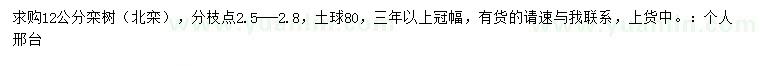 求購12公分欒樹（北欒）