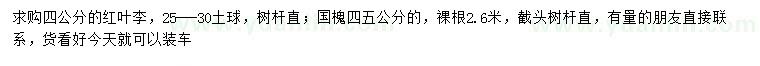 求購4公分紅葉、4、5公分國槐