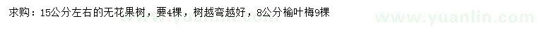 求購15公分左右無花果、8公分榆葉梅