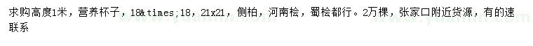 求購側(cè)柏、河南檜、蜀檜