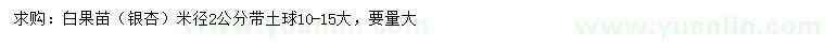 求購米徑2公分白果苗（銀杏）