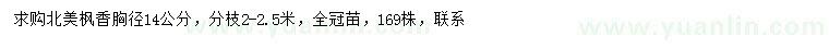 求購胸徑14公分北美楓香