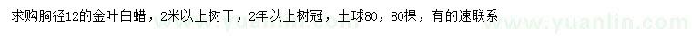 求購胸徑12公分金葉白蠟