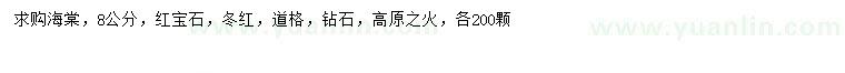 求購8公分海棠