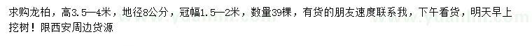 求購高3.5-4米龍柏