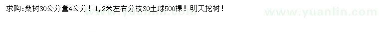 求購(gòu)4公分桑樹