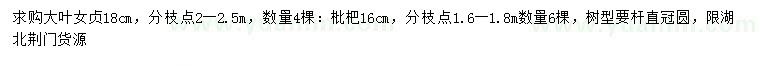 求購18公分大葉女貞、16公分枇杷