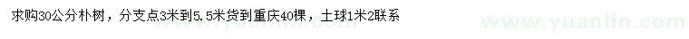 求購30公分樸樹