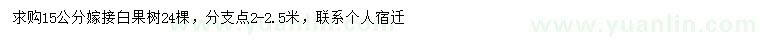 求購15公分嫁接白果