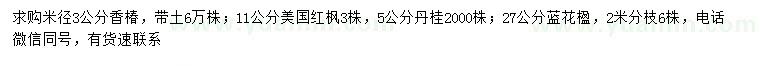 求購香椿、美國紅楓、丹桂等