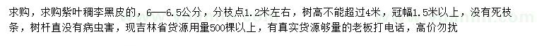 求購6-6.5公分紫葉稠李