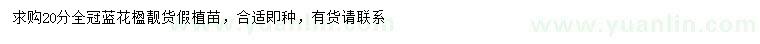 求購(gòu)20分藍(lán)花楹