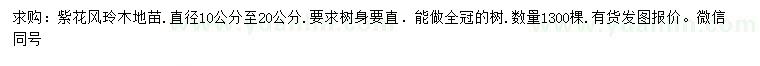 求購10-20公分紫花風(fēng)鈴木