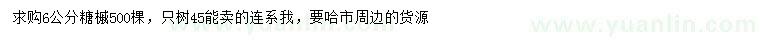 求購(gòu)6公分糖槭