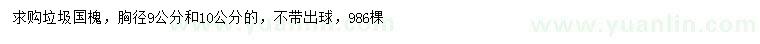 求購(gòu)胸徑9、10公分國(guó)槐