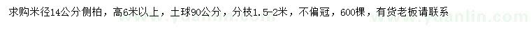 求購米徑14公分側(cè)柏