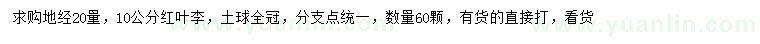 求購20量10公分紅葉李