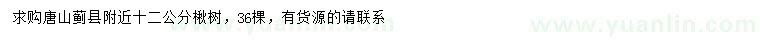 求購12公分楸樹