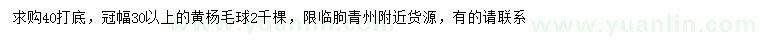 求購冠幅30公分以上黃楊球
