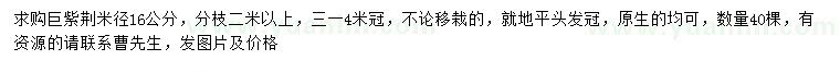 求購米徑16公分巨紫荊