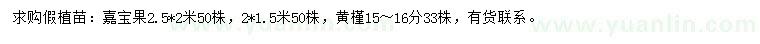 求購2、2.5米嘉寶果、15-16公分黃槿