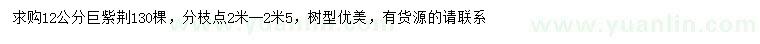求購(gòu)12公分巨紫荊
