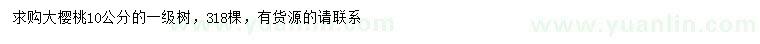 求購(gòu)10公分櫻桃樹