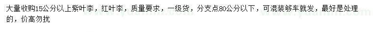 求購15公分以上紫葉李、紅葉李