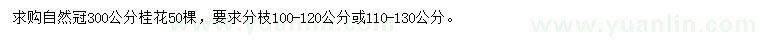 求購300公分桂花