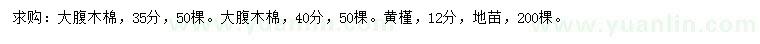 求購35、40公分大腹木棉、12公分黃槿